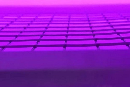 真空蜜桃视频网站观看免费网页機