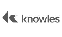 樓氏集團（KNOWLES）