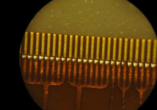 plasma清洗機處理過的金手指-水蜜桃免费视频蜜桃视频APP免费下载